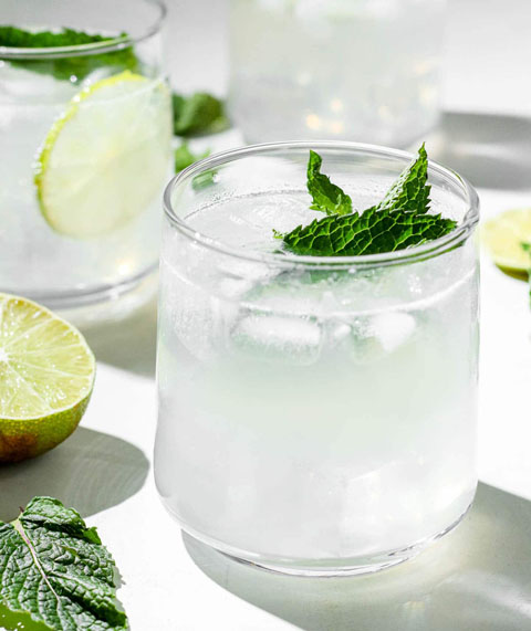  Lemonade Mojito